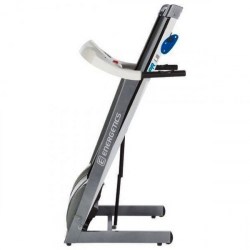 energetics-power-run-18-4-600x600